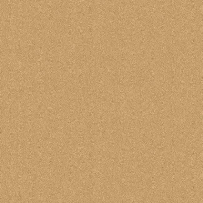 F527 Goud geborsteld